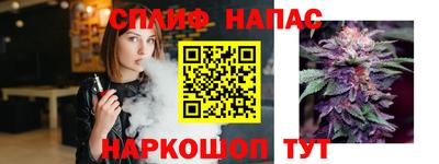 jwh Брянск
