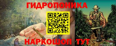 наркотики Боровичи