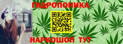 jwh Брянск
