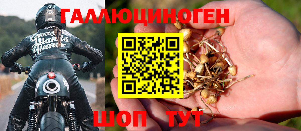 Псилоцибиновые грибы Psilocybine cubensis  Вход с VPN  Кудымкар 
